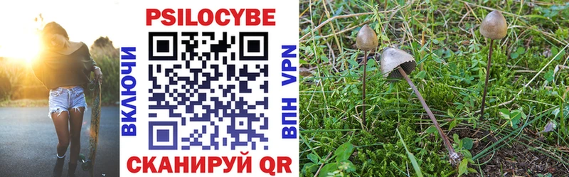 Галлюциногенные грибы Psilocybe  Купить закладки  Собинка 